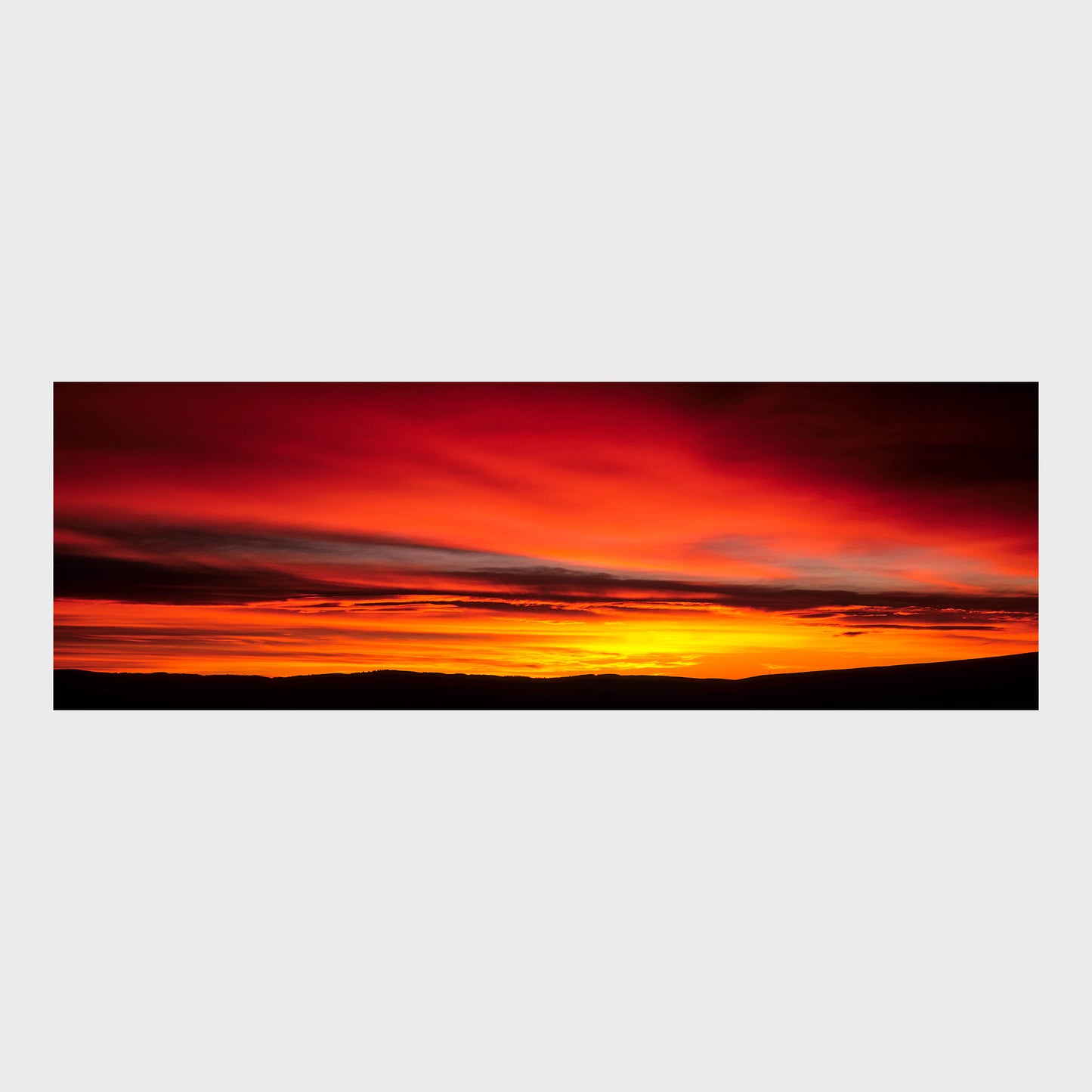 Alberta Sunrise, Alberta, Canada, Beautiful Wall Art, Fine Art Print