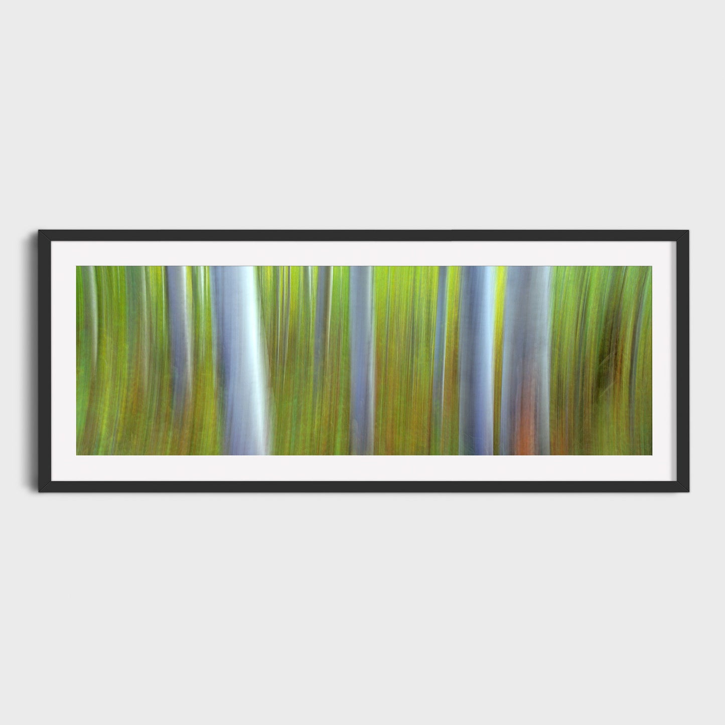 Aspen Impressions, Kananaskis Country, Alberta, Canada, Fine Art Landscape Photography