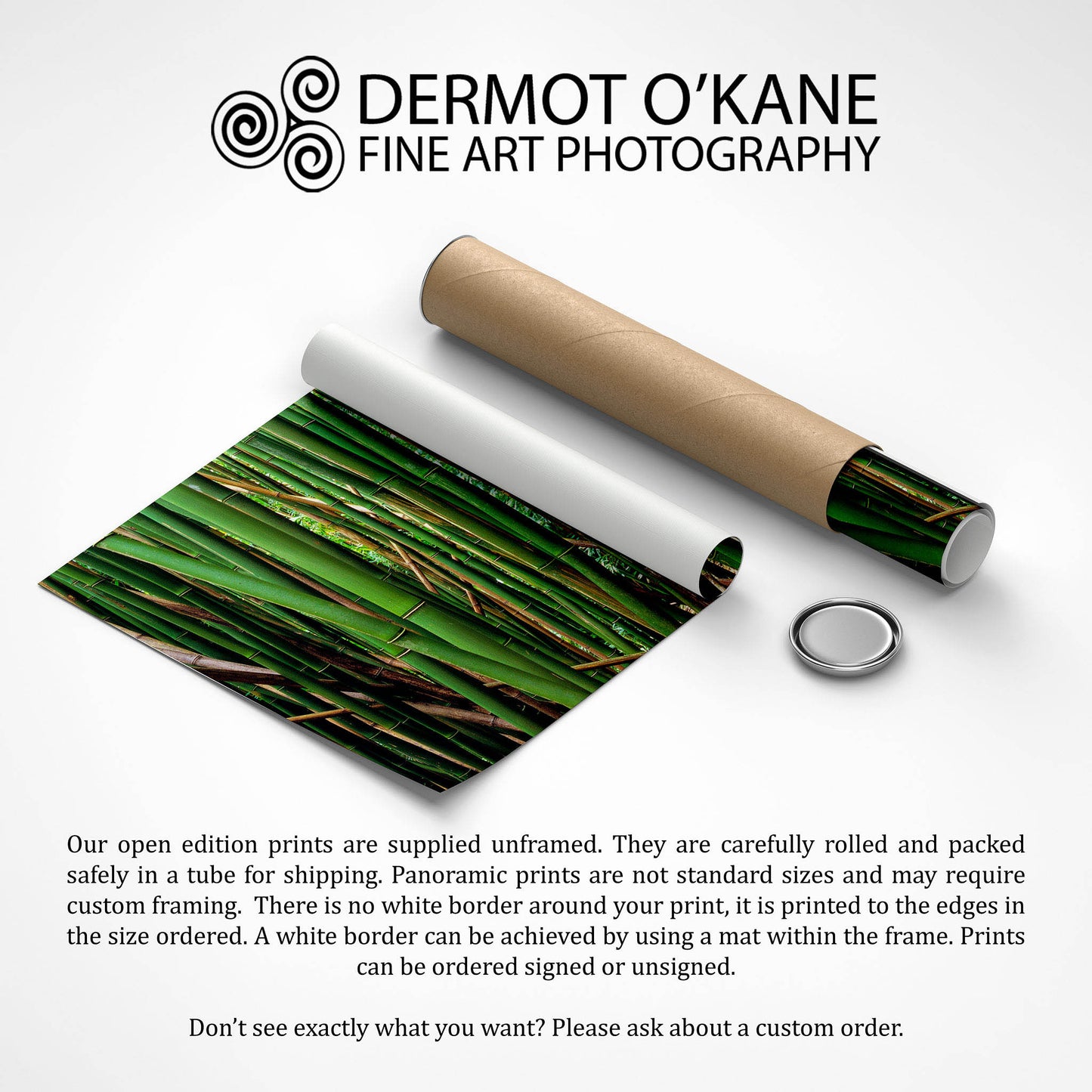 Bamboo Forest, Oahu, Hawaii, USA, Fine Art Photographic Print
