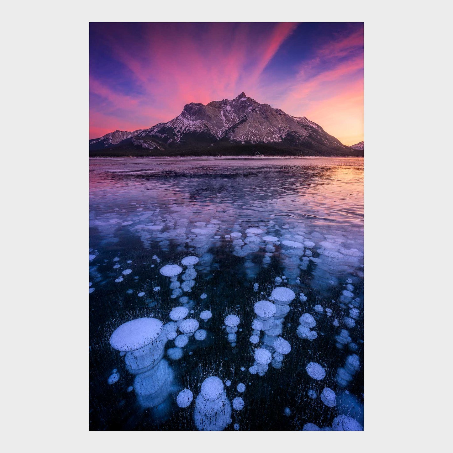 Bubble Trouble, Abraham Lake, Alberta, Canada, Beautiful Wall Art, Fine Art Print