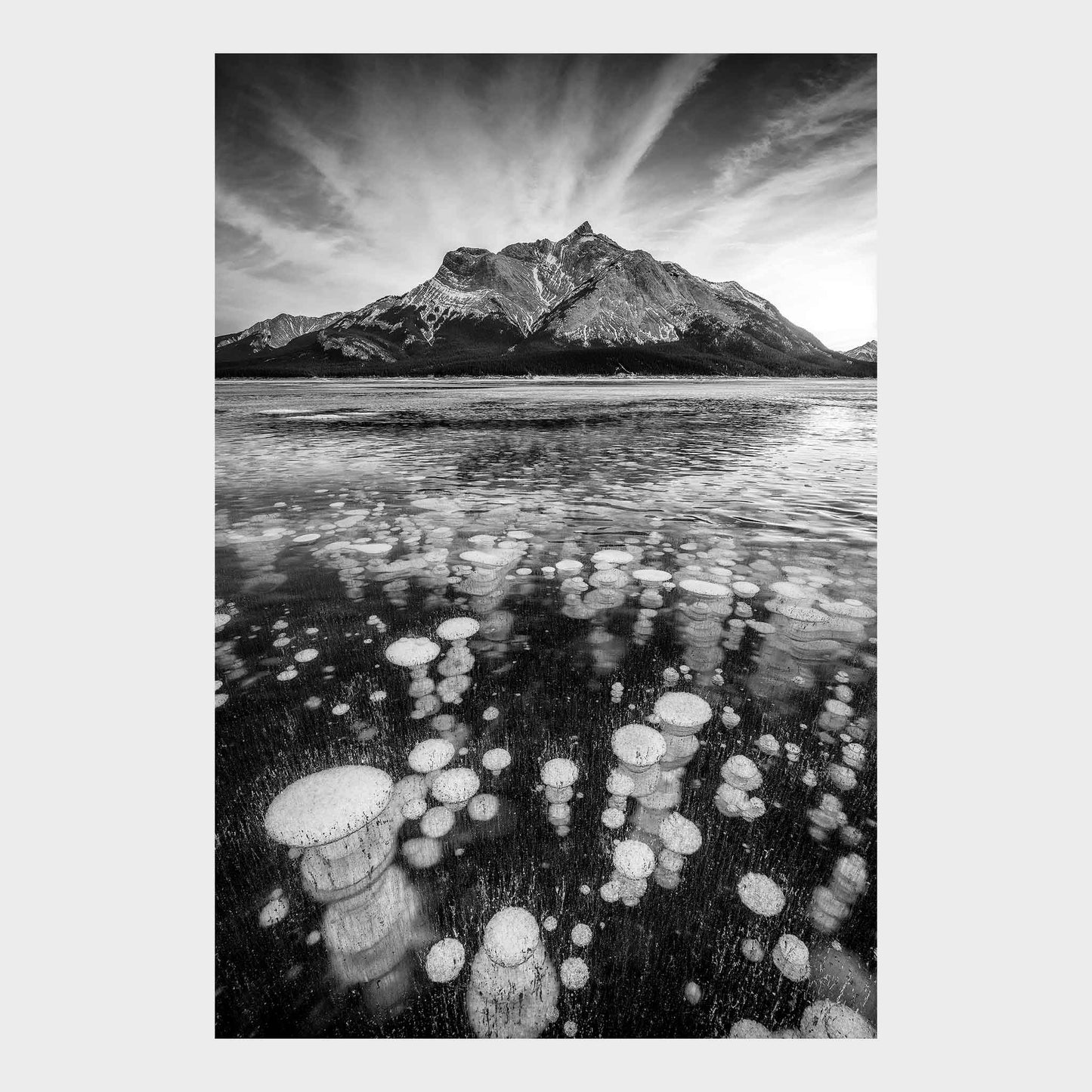 Bubble Trouble, Abraham Lake, Alberta, Canada, Beautiful Wall Art, Fine Art Print, Black & White