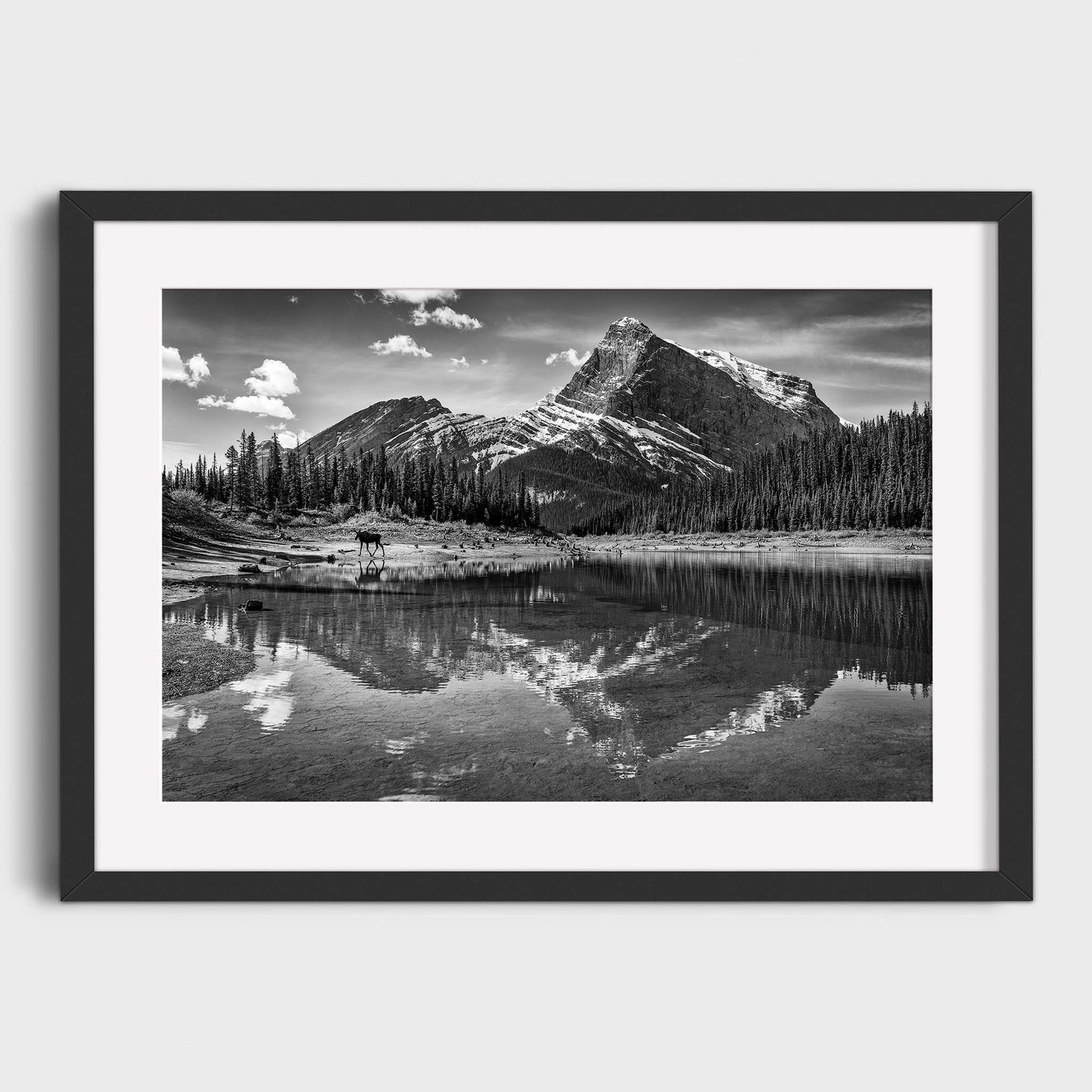 Kananaskis Country, Alberta, Canada, Rocky Mountains, Fine Art Photography, Dermot O'Kane