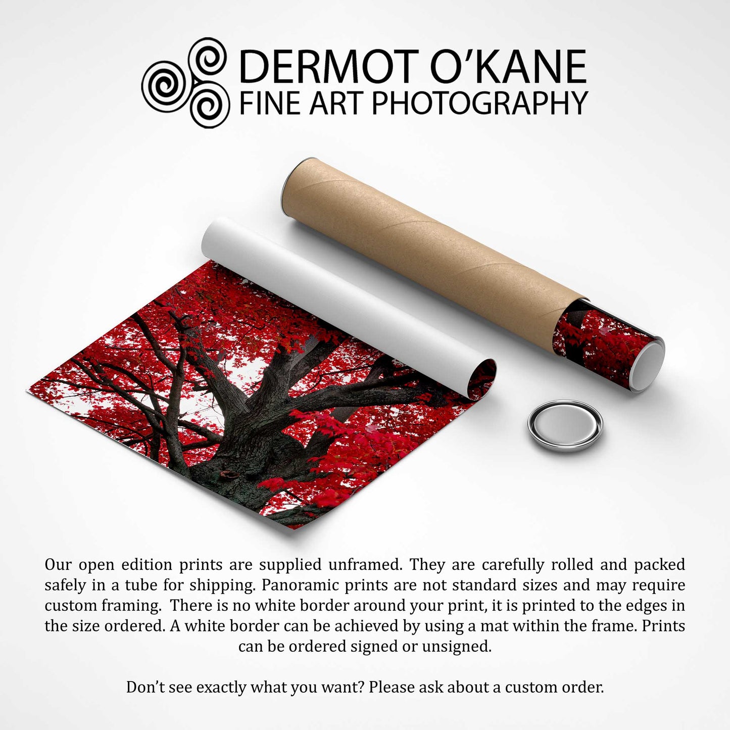 Red Maple, Niagara-on-the-Lake, Ontario, Canada, Fine Art Photographic Print