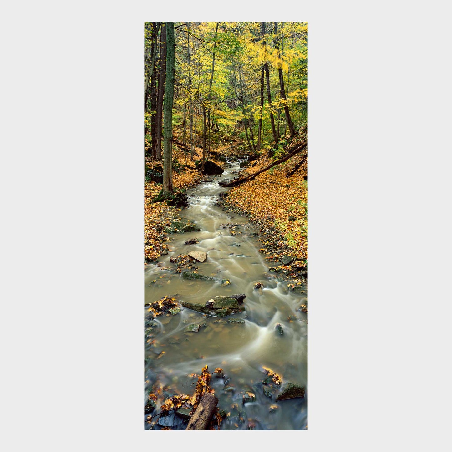 Tiffany Creek, Ancaster, Hamilton, Ontario, Canada, Beautiful Wall Art, Fine Art Print