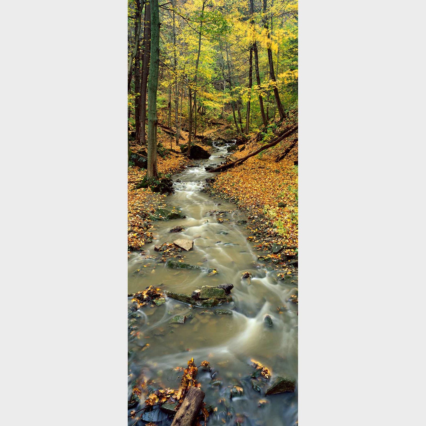 Tiffany Creek, Ancaster, Hamilton, Ontario, Canada, Beautiful fine art landscape photography wall art limited edition prints for sale.