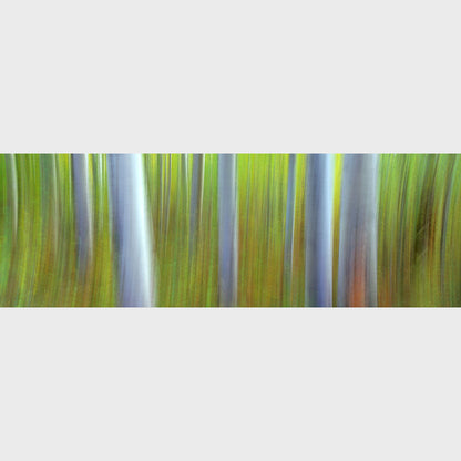 Aspen Impressions, Kananaskis Country, Alberta, Canada, Beautiful fine art landscape photography wall art limited edition prints for sale.