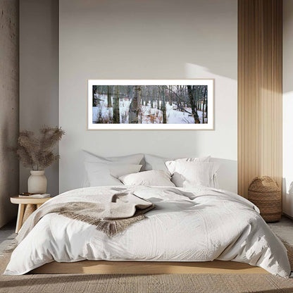 Aspens In Snow, Saskatchewan, Canada, Forest, Decorate your home or office with stunning fine art landscape photography.