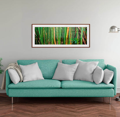 Bamboo Forest, Oahu, Hawaii, USA, Decorate your home or office with stunning fine art landscape photography.