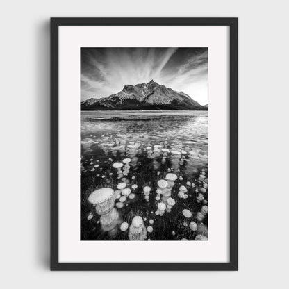 Bubble Trouble, Black & White, Abraham Lake, Alberta, Canada, Fine Art Landscape Photography