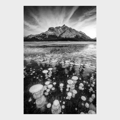 Bubble Trouble, Abraham Lake, Alberta, Canada, Beautiful Wall Art, Fine Art Print, Black & White