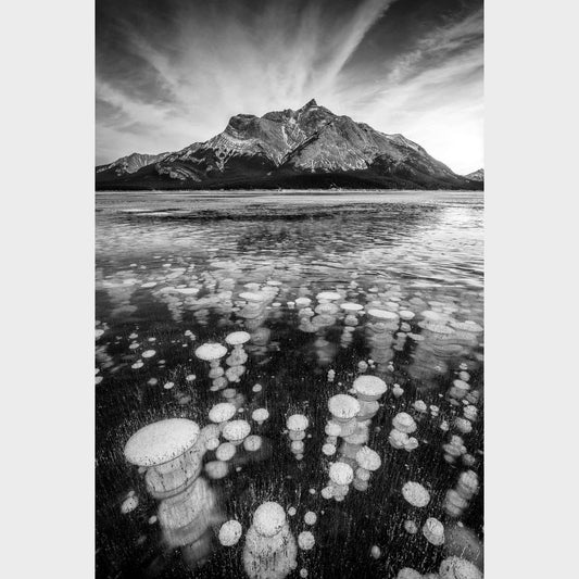 Bubble Trouble, Abraham Lake, Alberta, Canada, Rocky Mountains, Beautiful fine art landscape photography wall art limited edition prints for sale.