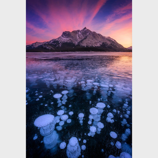Bubble Trouble, Abraham Lake, Alberta, Canada, Rocky Mountains, Beautiful fine art landscape photography wall art limited edition prints for sale.