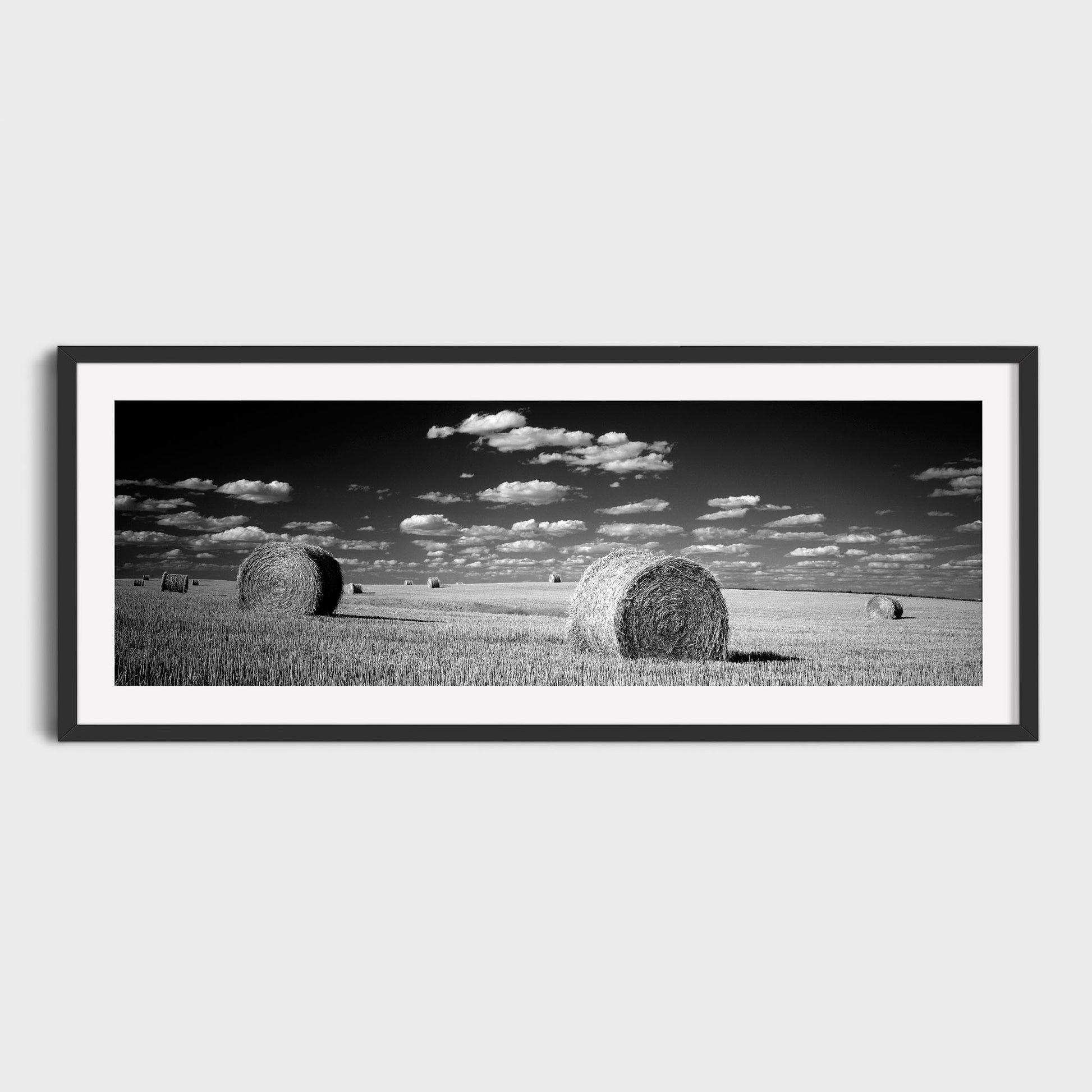 Harvest, Saskatchewan, Canada, Fine Art Landscape Photography