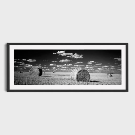 Harvest, Saskatchewan, Canada, Fine Art Landscape Photography