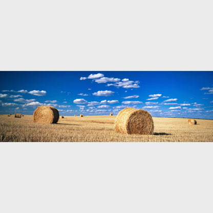 Harvest, Saskatchewan, Canada, Prairies,  Beautiful fine art landscape photography wall art limited edition prints for sale.
