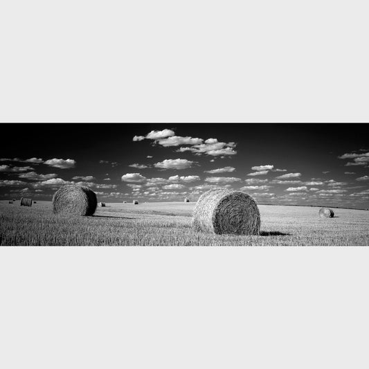 Harvest, Maple Creek, Saskatchewan, Canada, Prairies, Beautiful fine art landscape photography wall art limited edition prints for sale.