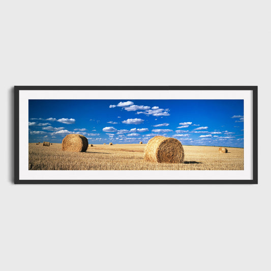 Harvest, Maple Creek, Prairies, Saskatchewan, Canada, Fine Art Landscape Photography