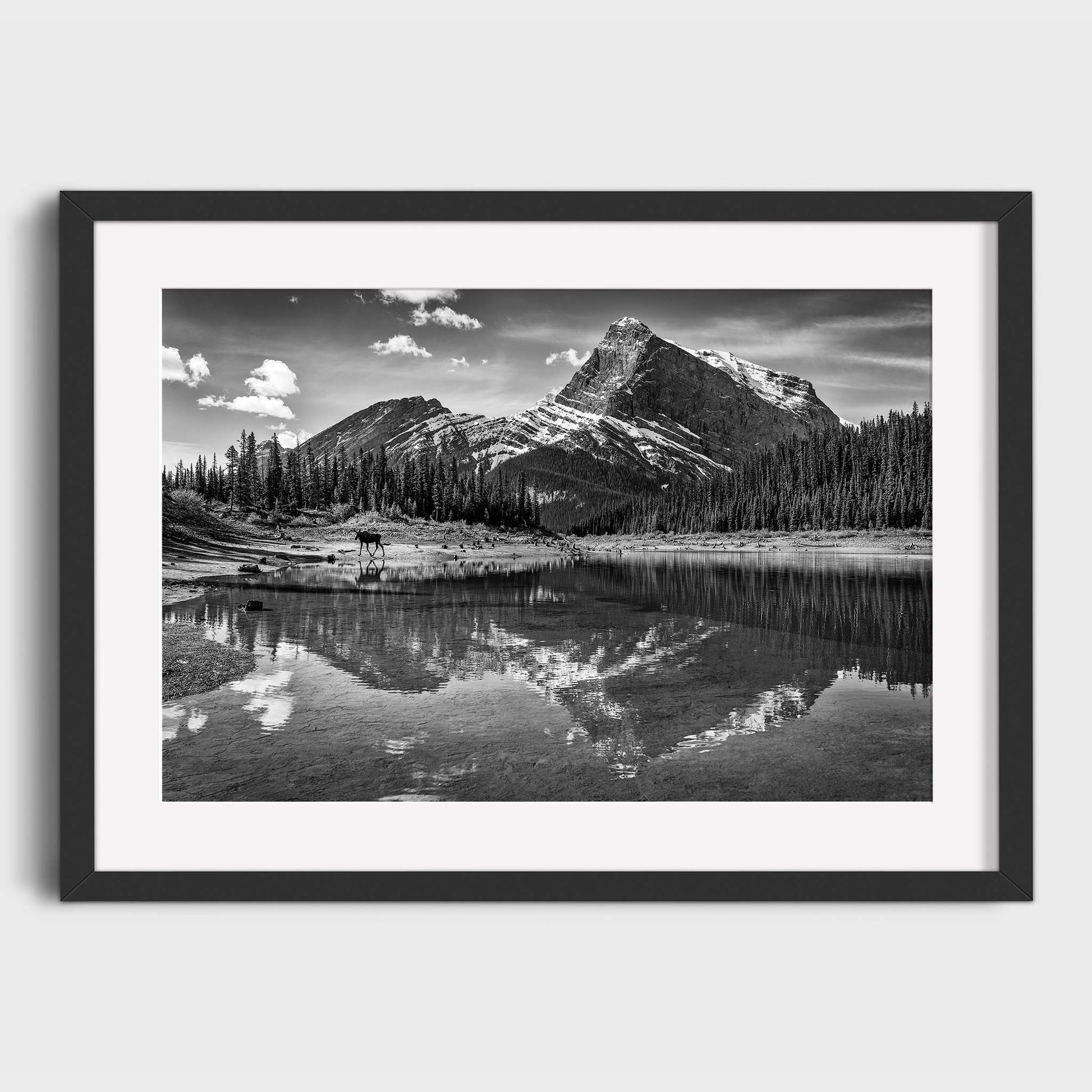 Kananaskis Country, Alberta, Canada, Rocky Mountains, Fine Art Photography, Dermot O'Kane