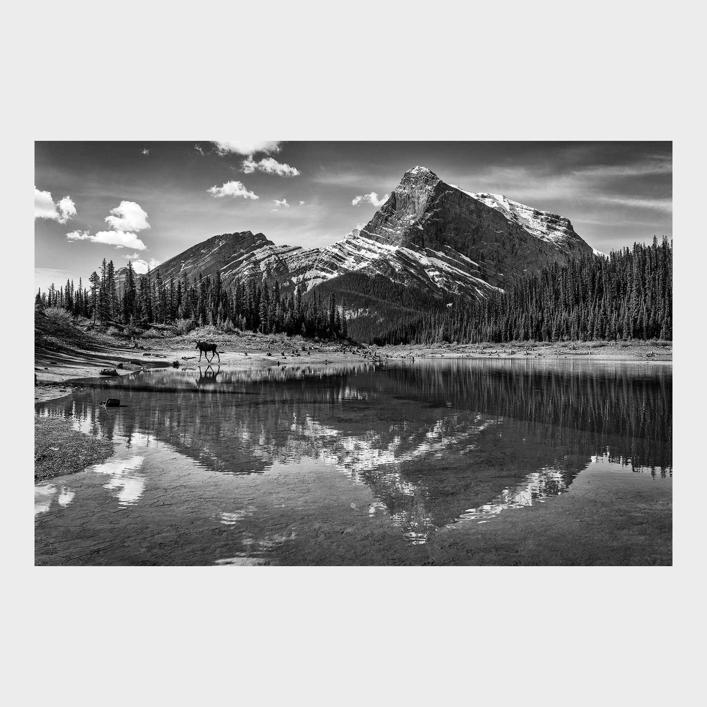 Kananaskis Country, Alberta, Canada, Rocky Mountains, Fine Art Photography, Dermot O'Kane, Beautiful Wall Art, Fine Art Print