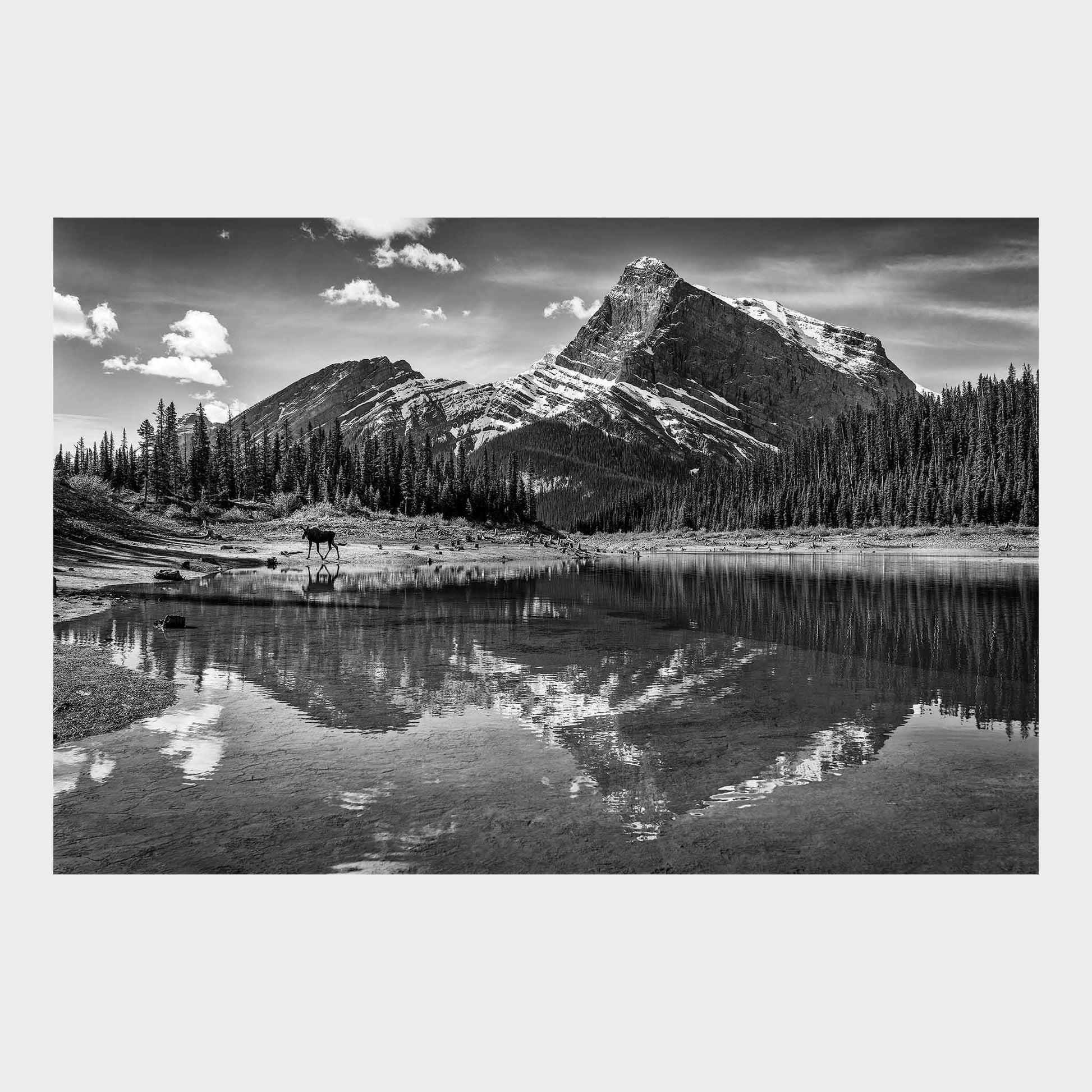 Kananaskis Country, Alberta, Canada, Rocky Mountains, Fine Art Photography, Dermot O'Kane, Beautiful Wall Art, Fine Art Print