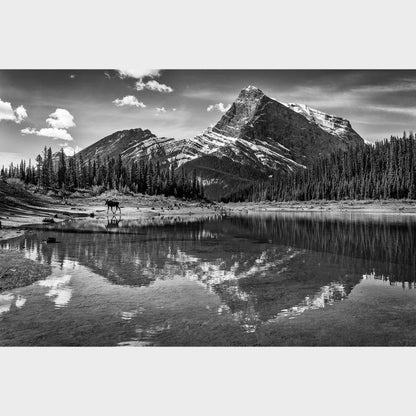 Kananaskis Country, Alberta, Canada, Canadian Rockies, Beautiful fine art landscape photography wall art limited edition prints for sale.