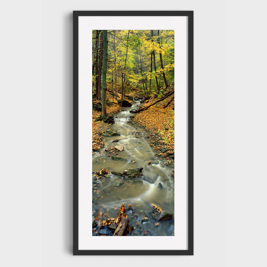 Tiffany Creek, Ancaster, Hamilton, Ontario, Canada, Fine Art Landscape Photography